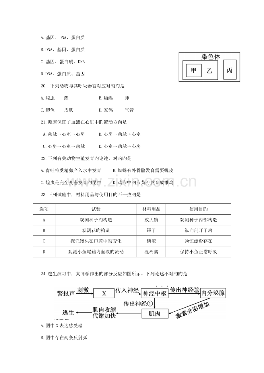 2023年福建省中考生物真题试题含答案.doc_第3页