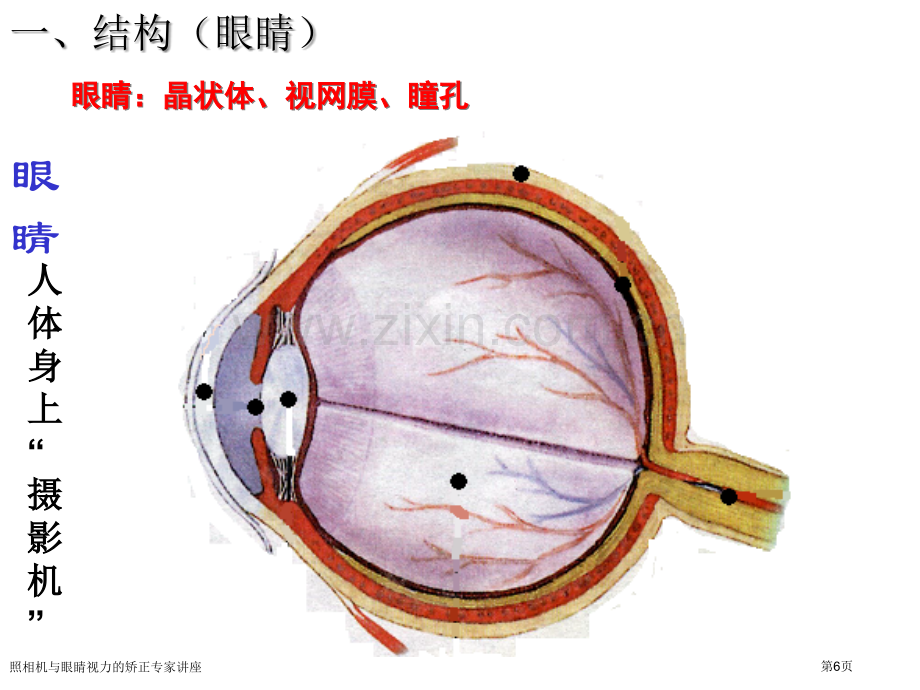 照相机与眼睛视力的矫正专家讲座.pptx_第3页