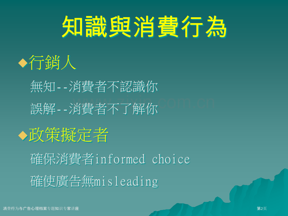 消费行为与广告心理档案专题知识专家讲座.pptx_第2页