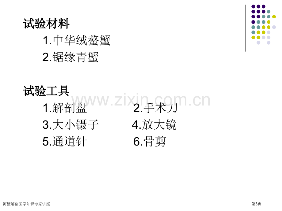 河蟹解剖医学知识专家讲座.pptx_第3页