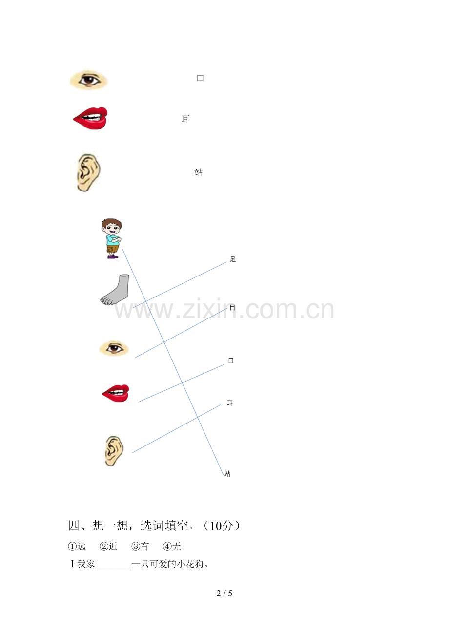 新部编版一年级语文下册二单元考试及答案.doc_第2页