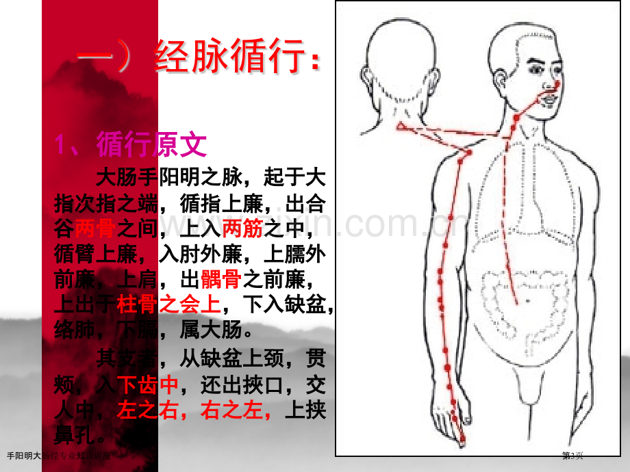 手阳明大肠经专业知识讲座.pptx_第3页