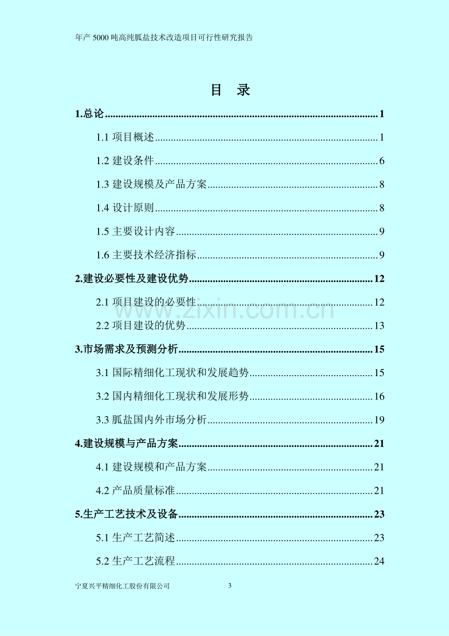 年产5000吨高纯胍盐技术改造项目建设投资可行性研究报告.doc_第2页