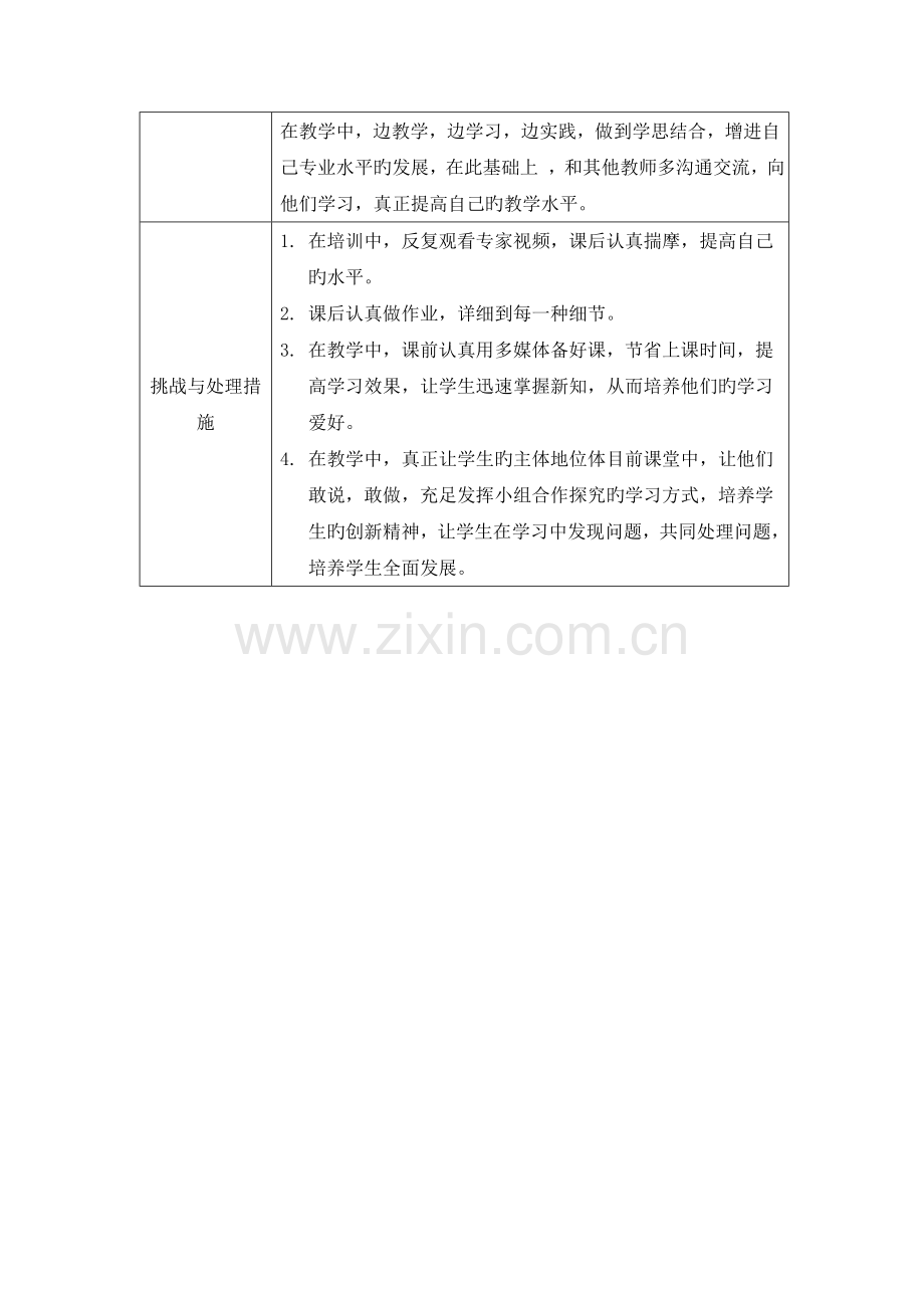 信息技术应用能力再提升行动计划.doc_第2页