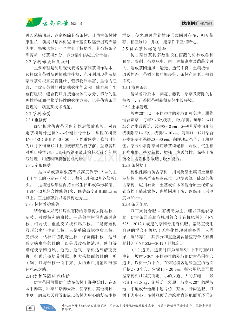 仿古茶园培育管理初探 (1).pdf_第2页