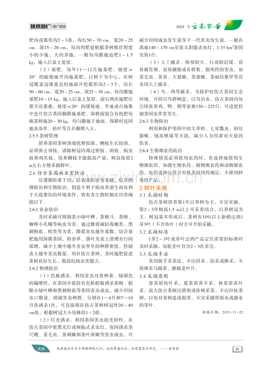 仿古茶园培育管理初探 (1).pdf_第3页