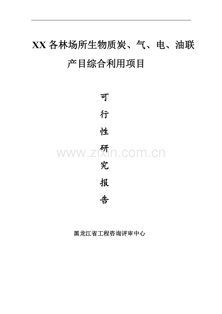 生物质炭、气、油联产综合利用项目可行性研究报告.doc_第1页