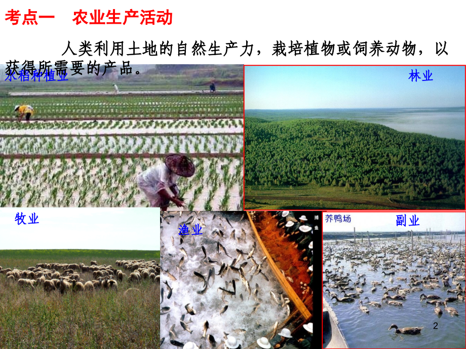 高三地理一轮复习—农业区位因素与农业地域类型幻灯片.ppt_第2页