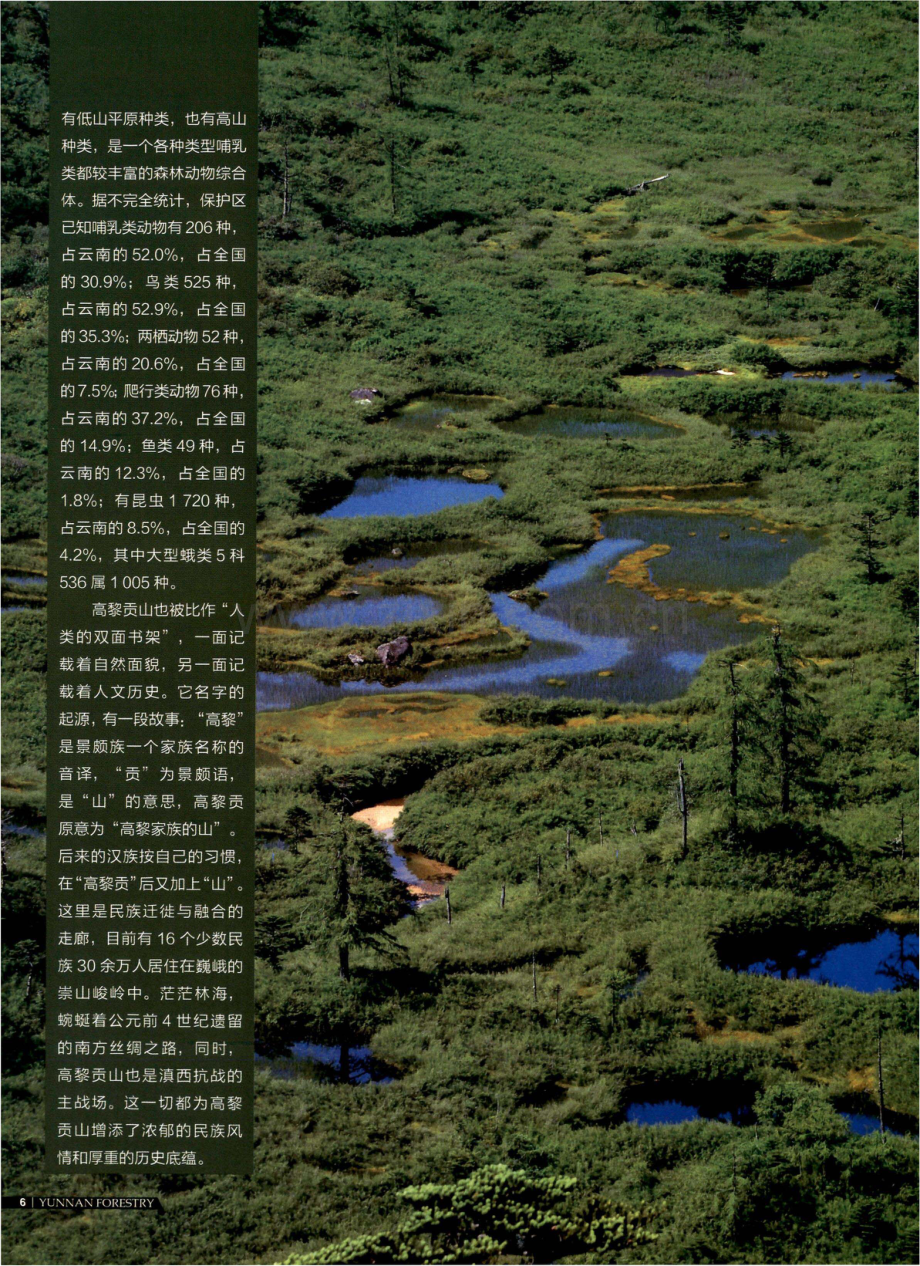 高黎贡山 不止有山.pdf_第2页