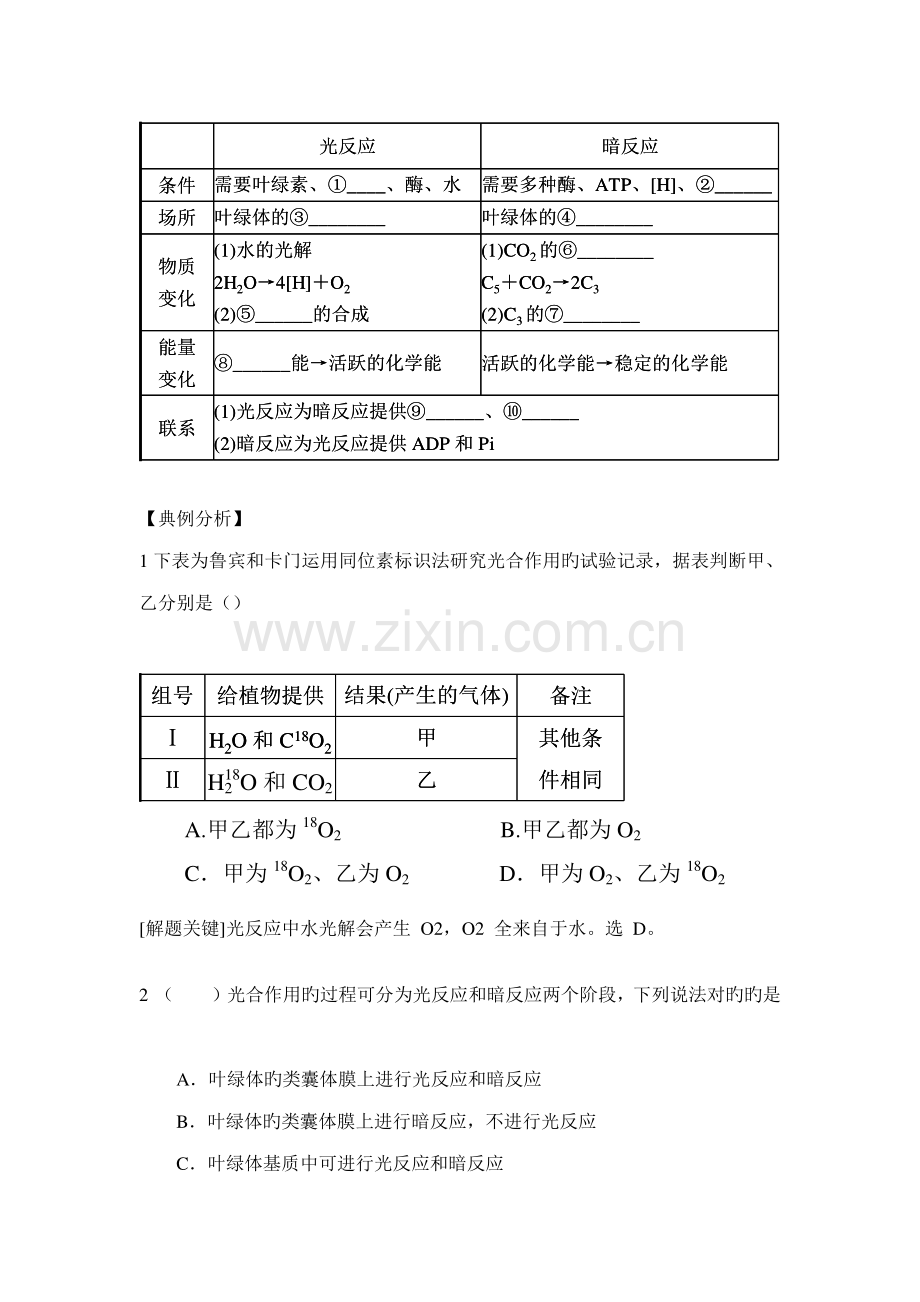 2023年高考生物专题光合作用知识点及专题练习.doc_第2页