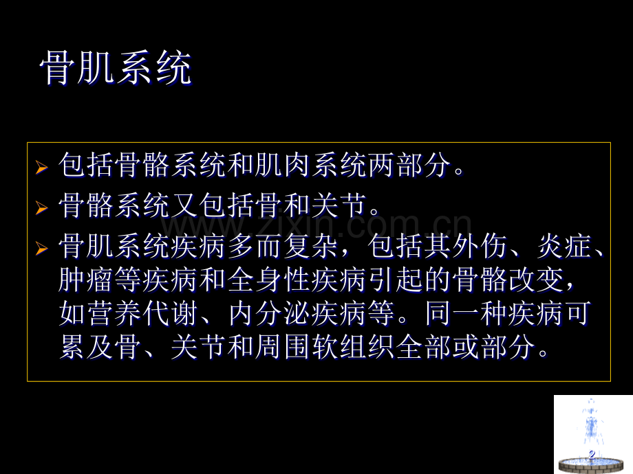 骨与关节检查方法及正常影像表现PPT参考课件.ppt_第2页