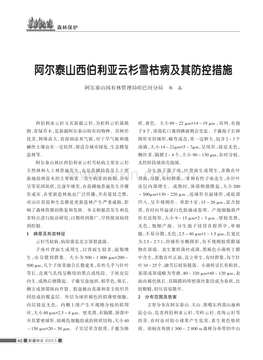 阿尔泰山西伯利亚云杉雪枯病及其防控措施.pdf_第1页