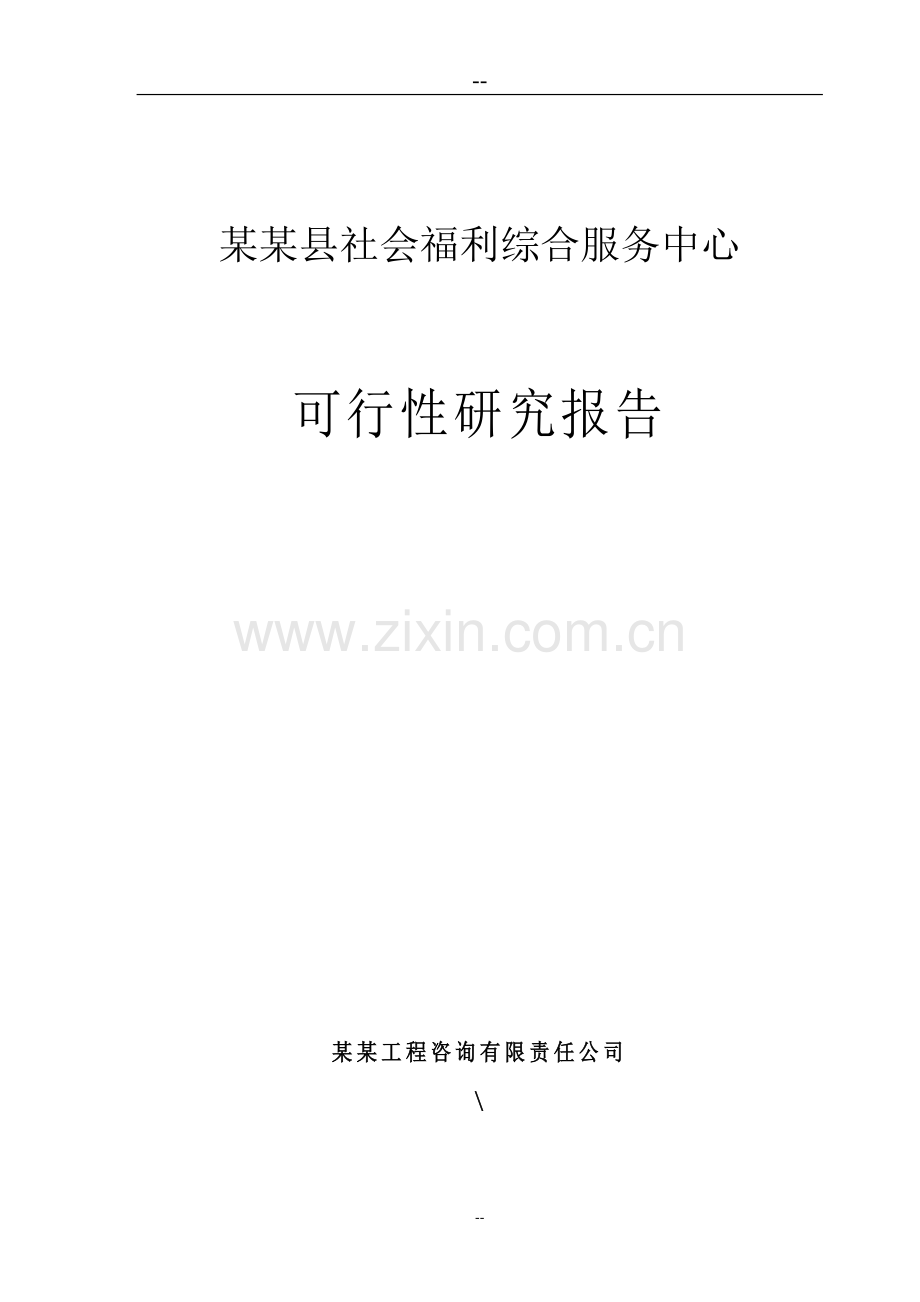 某某县社会福利综合服务中心可行性研究报告.doc_第1页