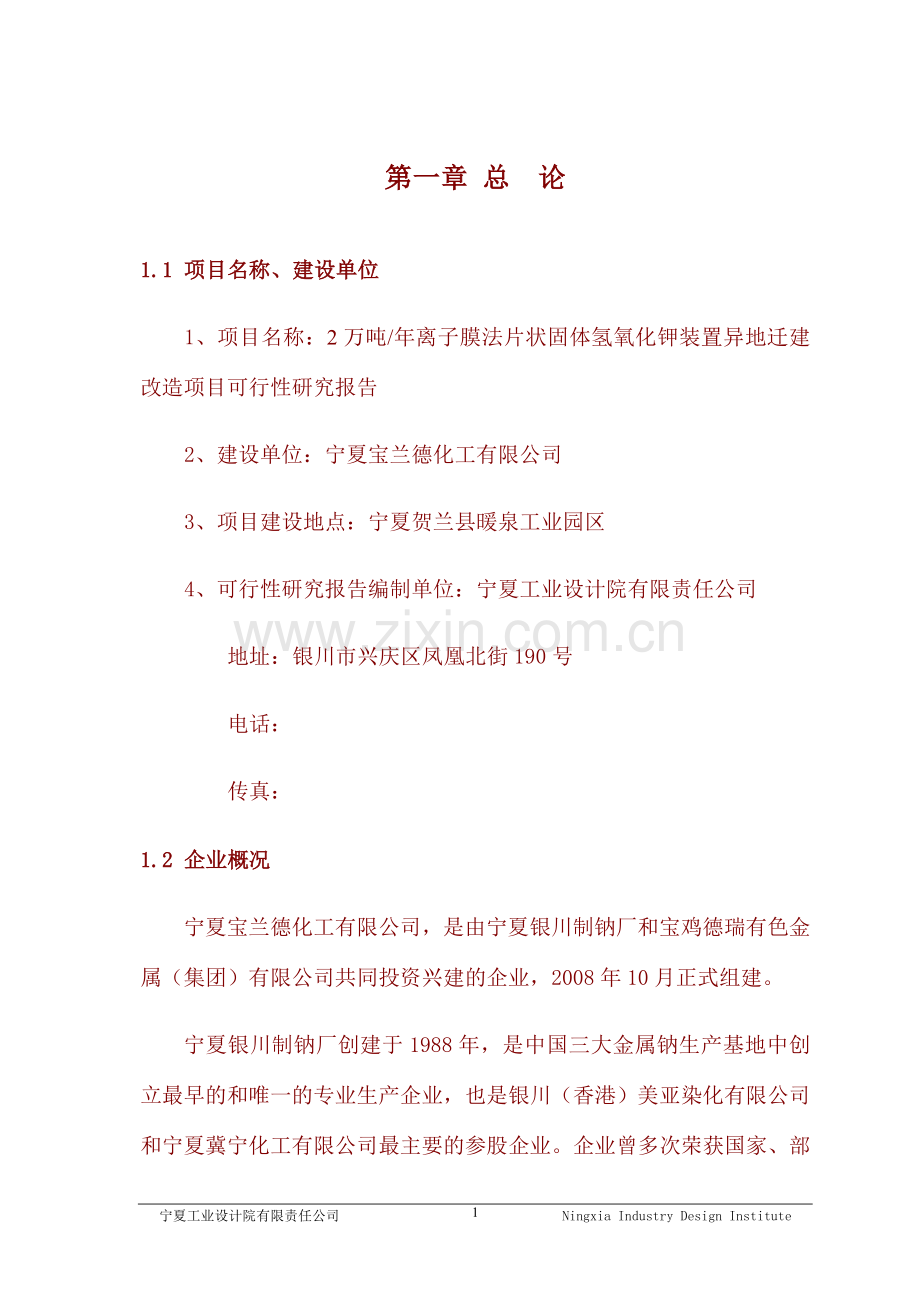 2万吨年离子膜法片状固体氢氧化钾装置异地迁建改造项目可行性研究报告.doc_第2页