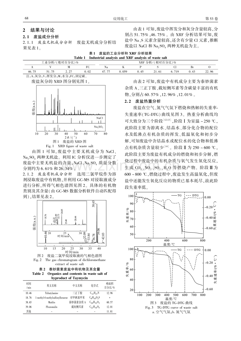 高有机物含量泰妙菌素废盐的热处理研究.pdf_第2页