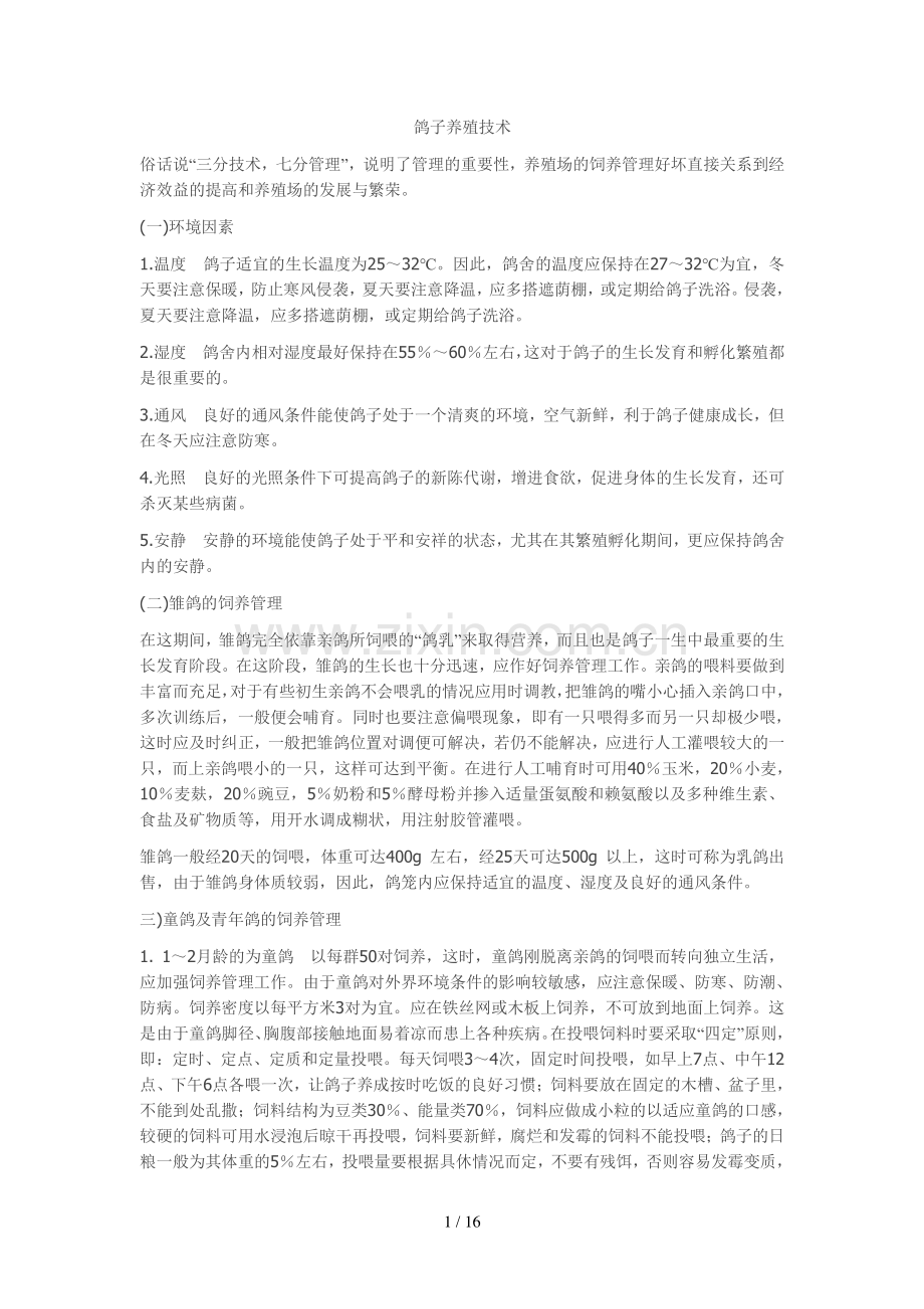 鸽子全套养殖技术方案.doc_第1页