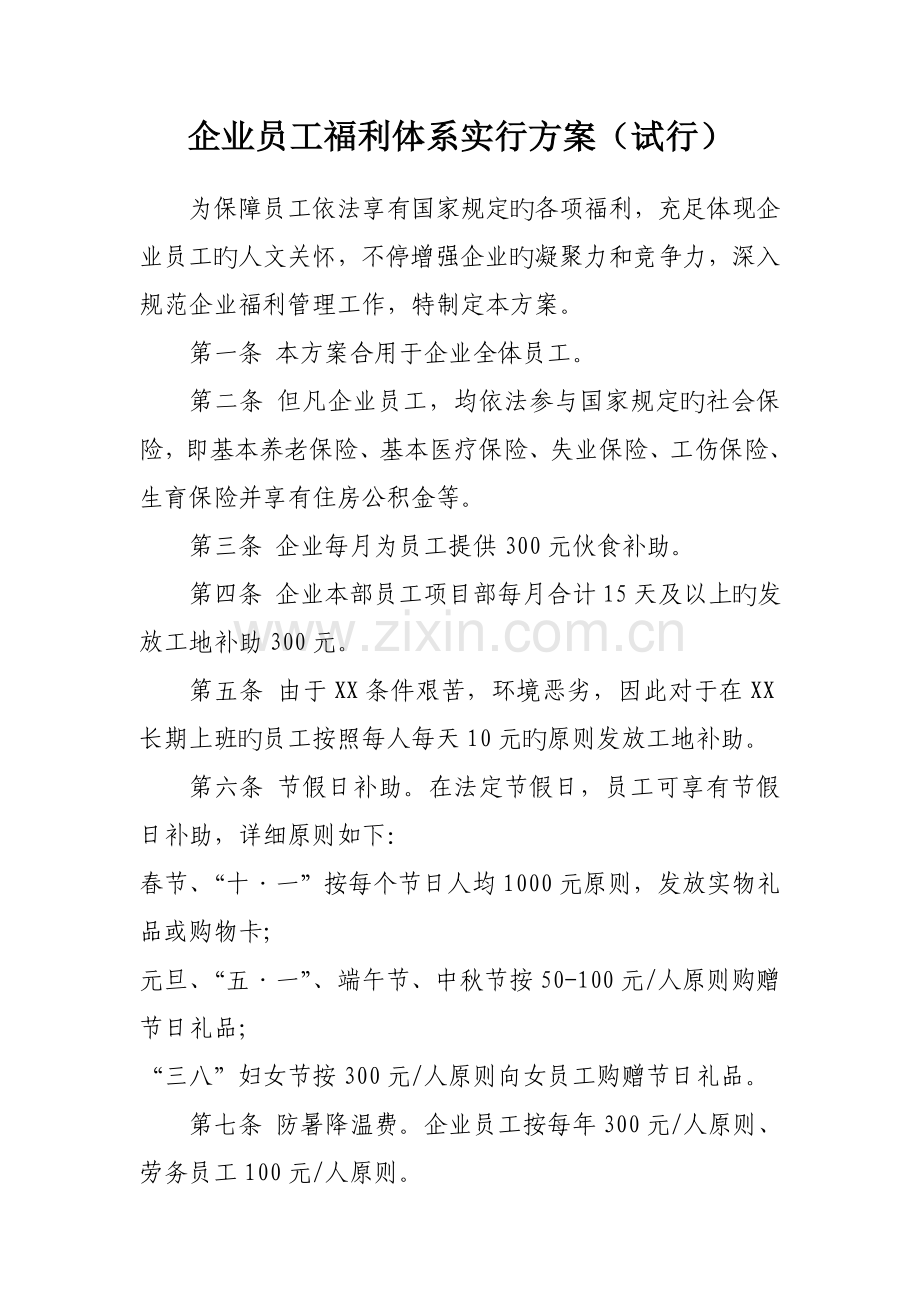 公司员工福利体系实施方案.doc_第1页