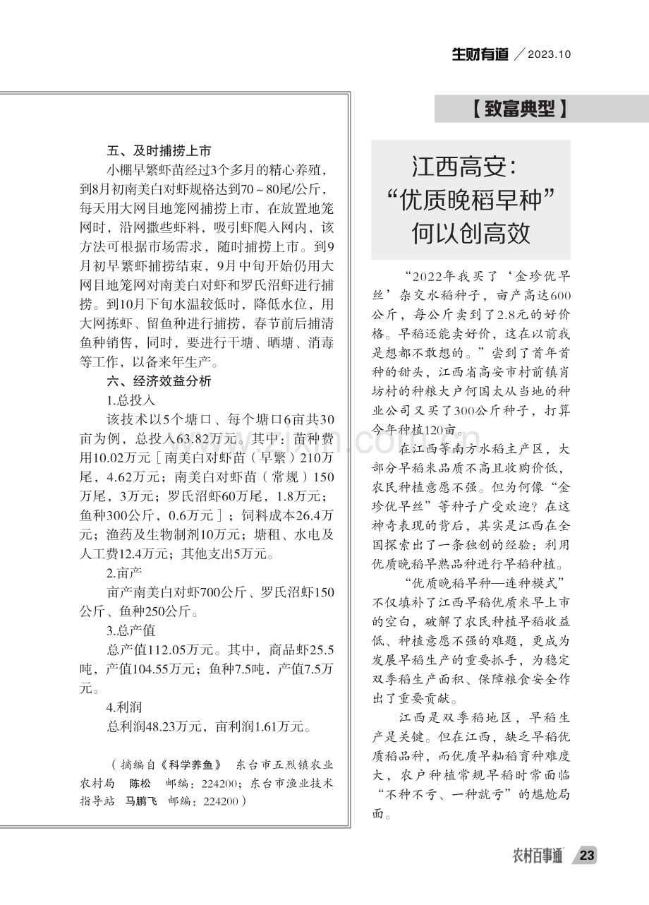 江西高安：“优质晚稻早种”何以创高效.pdf_第1页