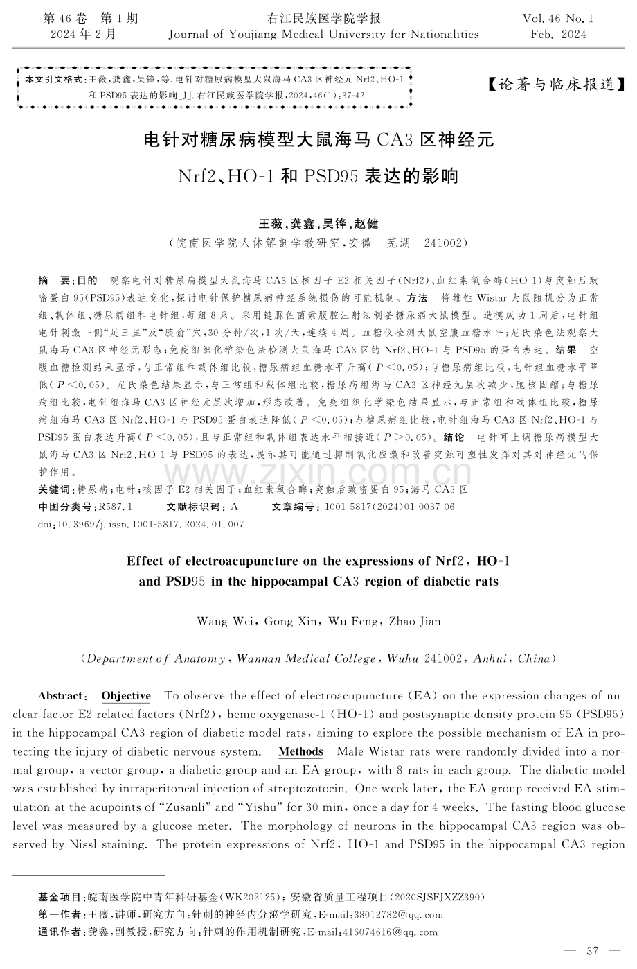 电针对糖尿病模型大鼠海马CA3区神经元Nrf2、HO-1和PSD95表达的影响.pdf_第1页