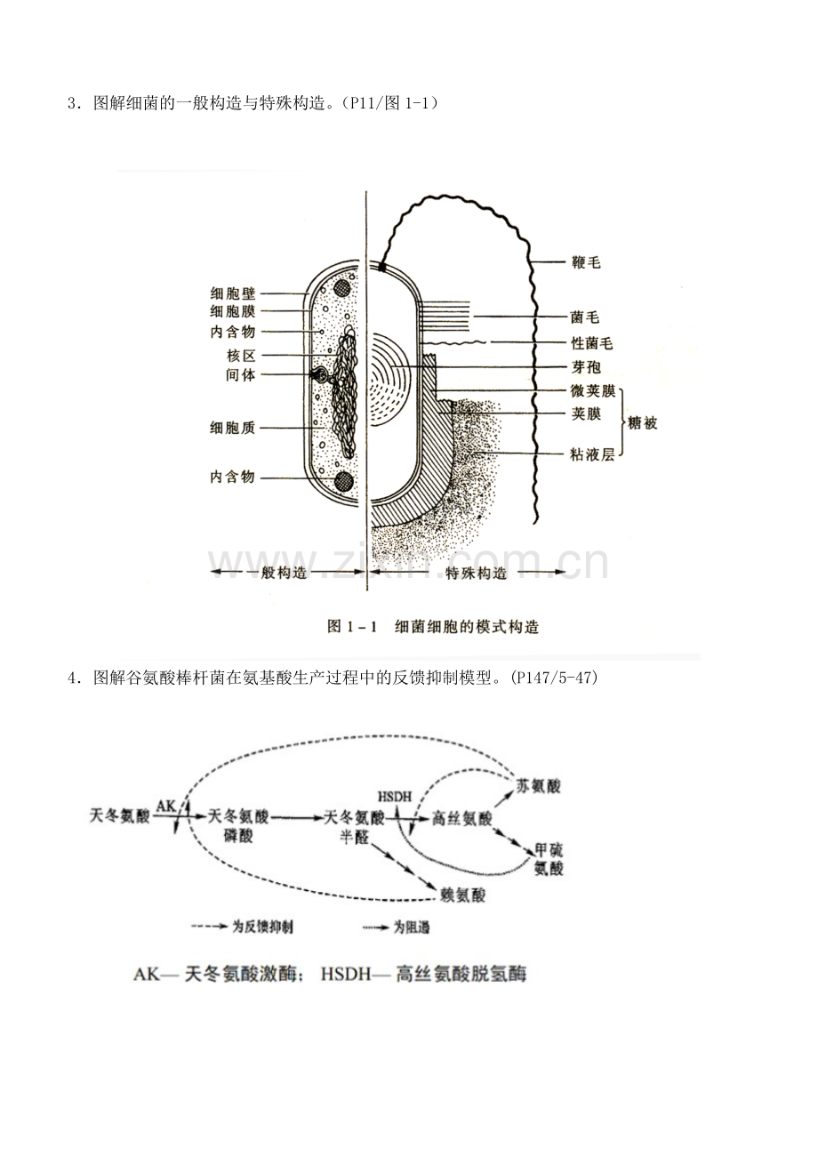 食品微生物学第1阶段练习题及答案.doc_第3页