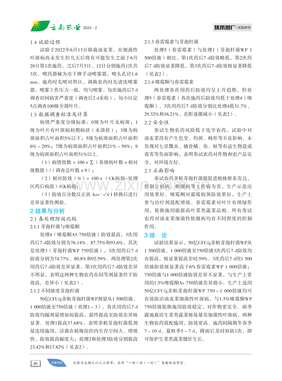 多粘芽孢杆菌WP防治油麦菜细菌性叶斑病药效试验.pdf_第2页