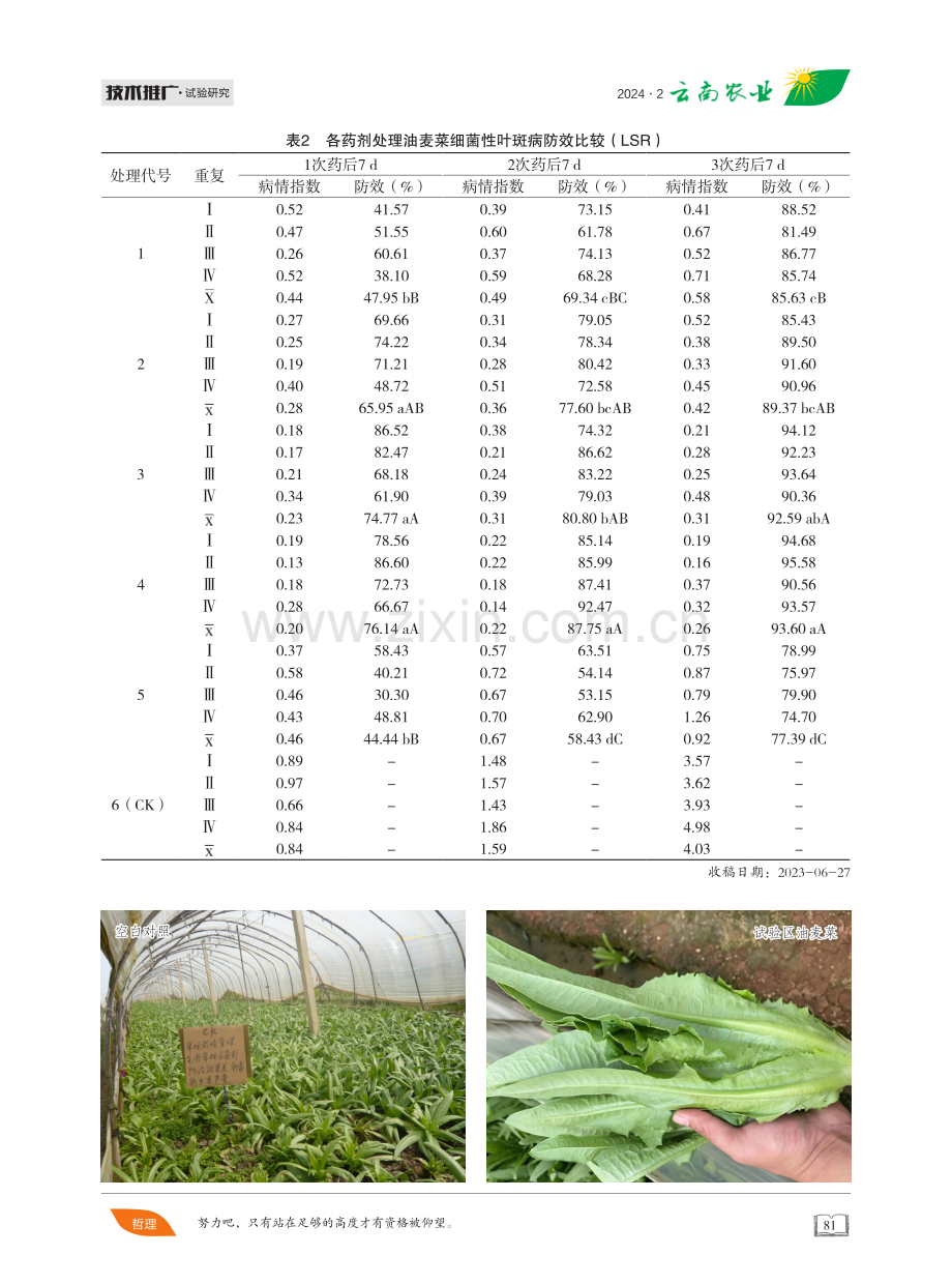 多粘芽孢杆菌WP防治油麦菜细菌性叶斑病药效试验.pdf_第3页