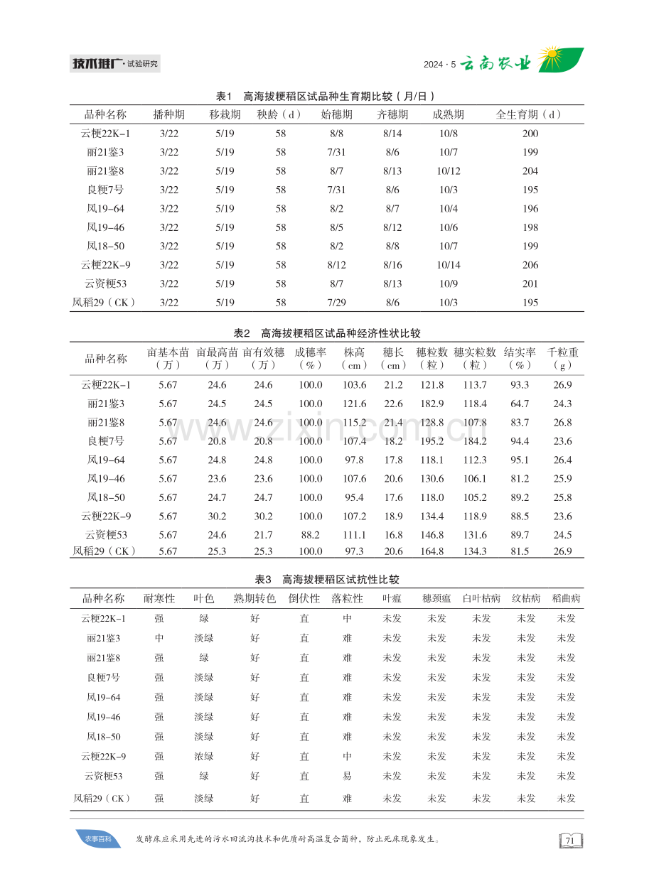 高海拔粳稻品种祥云点区域试验 (1).pdf_第2页