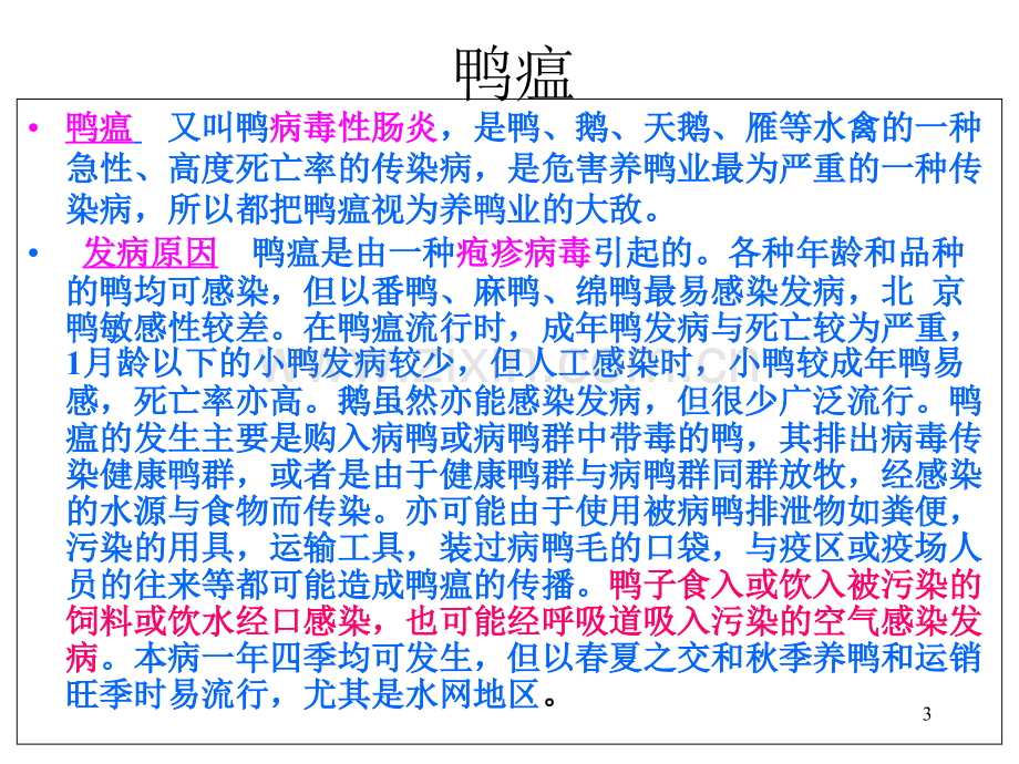 鸭病诊治图谱鸭瘟图谱.ppt_第3页