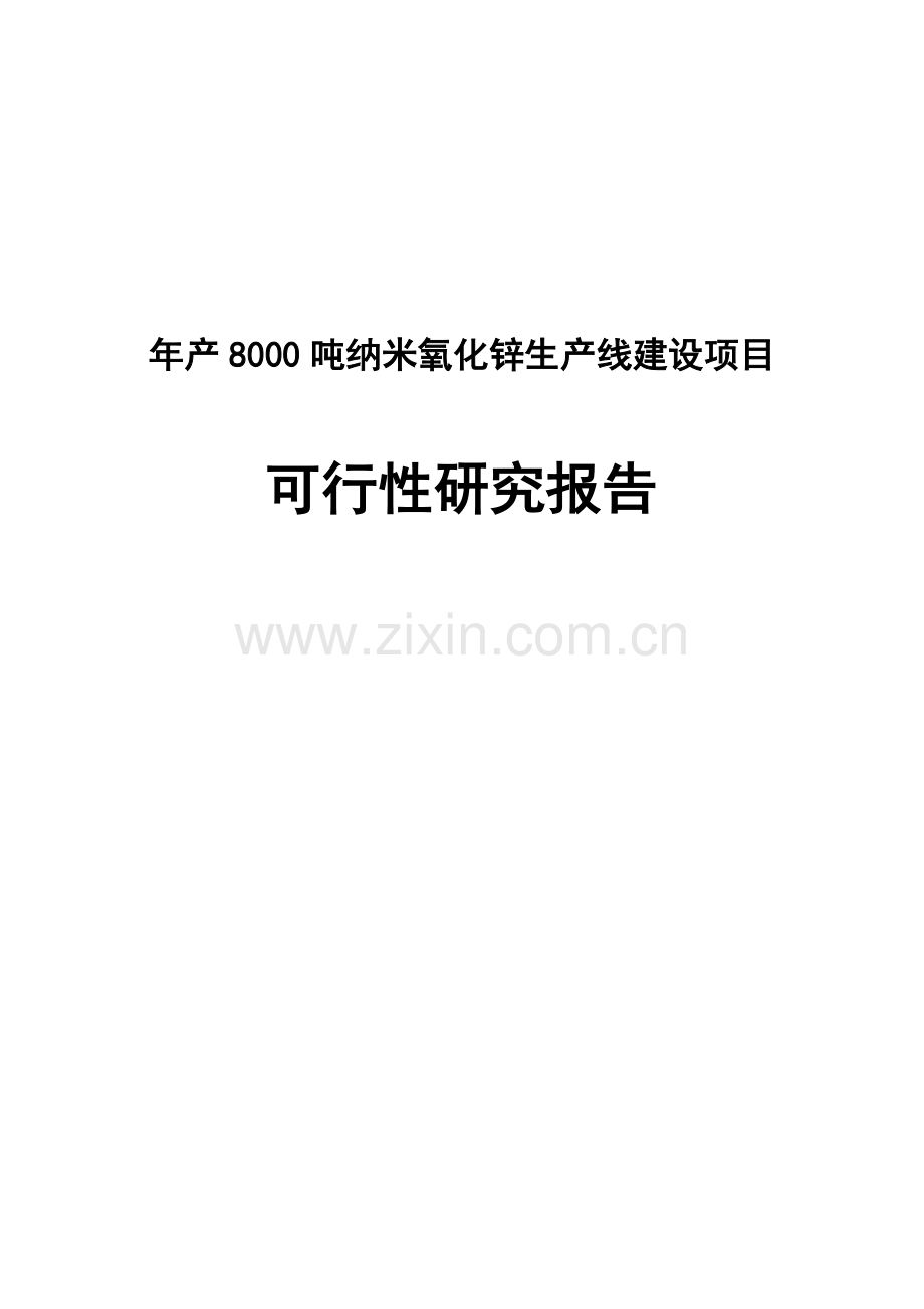 年产8000吨纳米氧化锌生产线项目可行性研究报告.doc_第1页