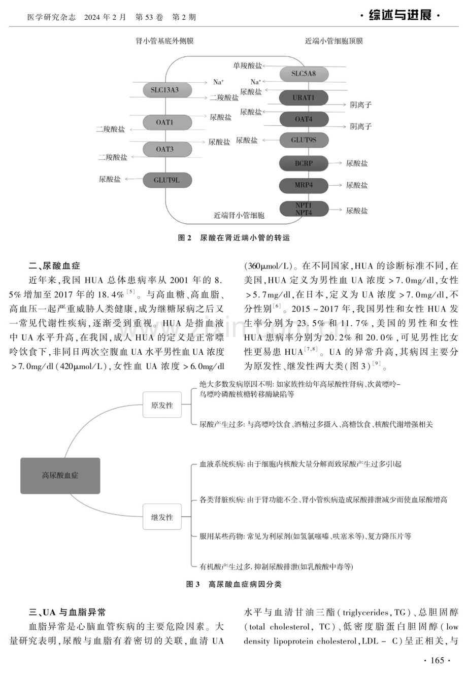 高尿酸血症与心脑血管疾病的研究进展.pdf_第2页