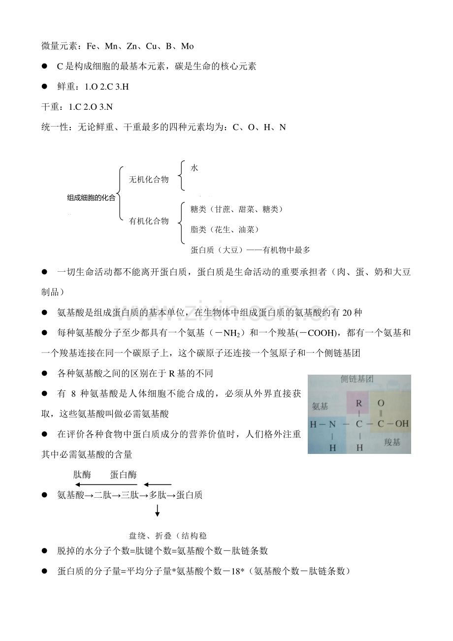 2023年高一生物必修分子与细胞知识点总结.doc_第2页