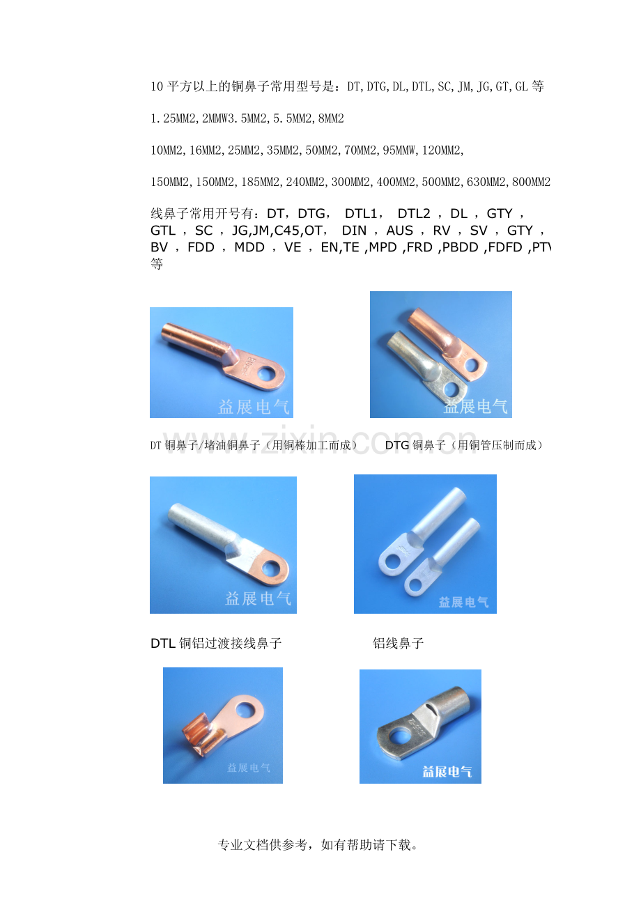 铜线鼻子规格及铜鼻子型号.doc_第2页