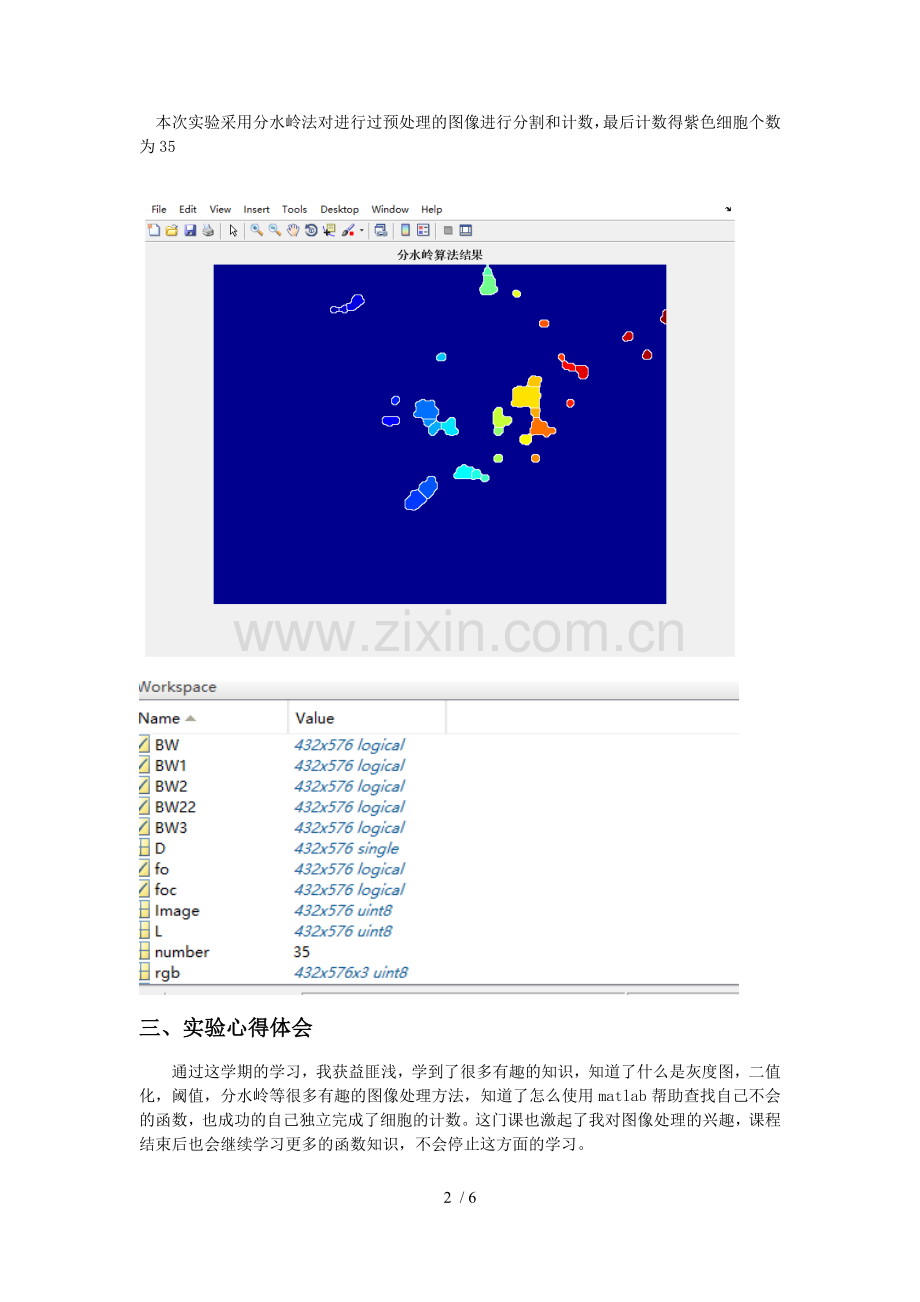 细胞图像处理大作业.doc_第3页