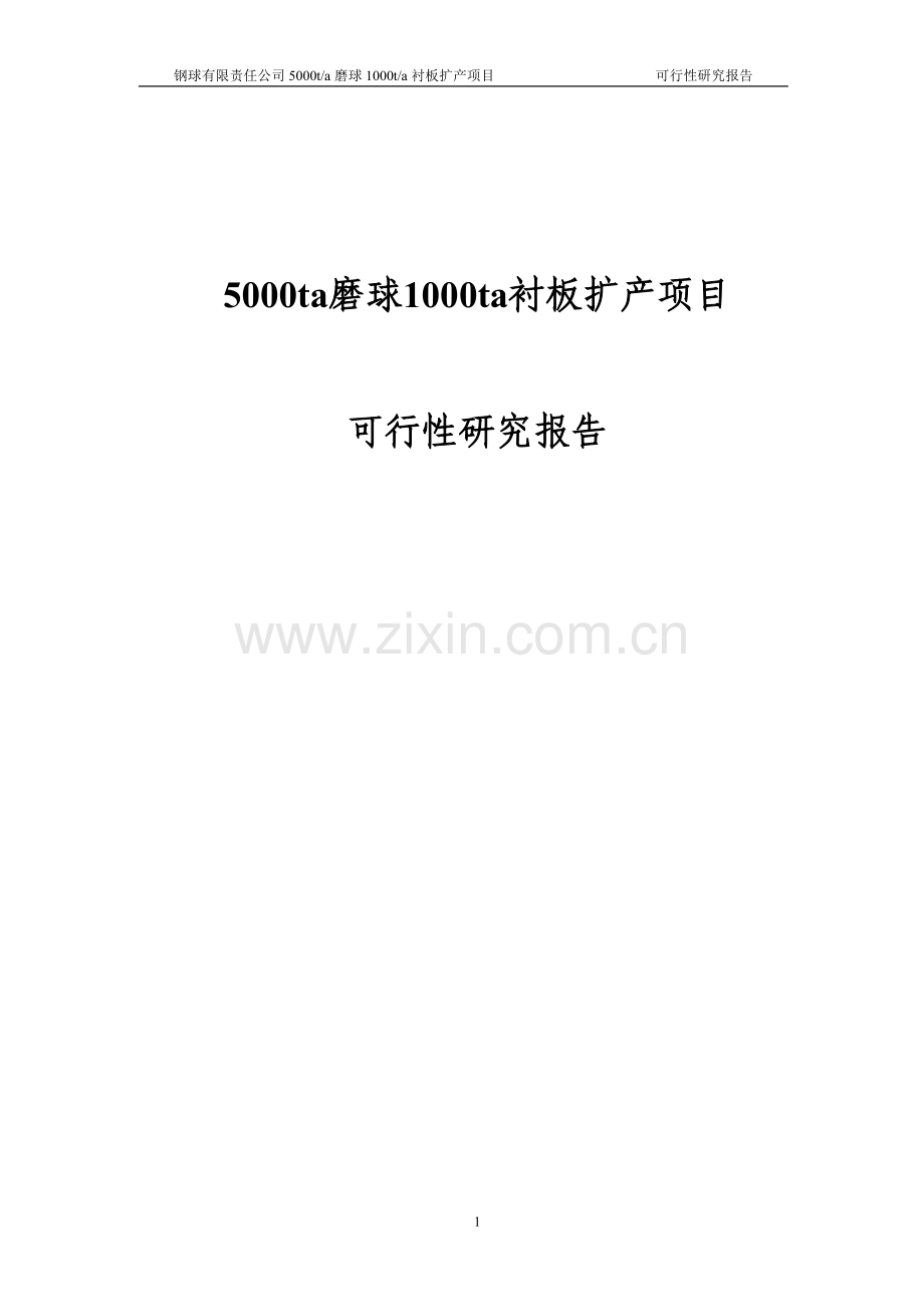 5000ta磨球1000ta衬板扩产项目可行性研究报告.doc_第1页