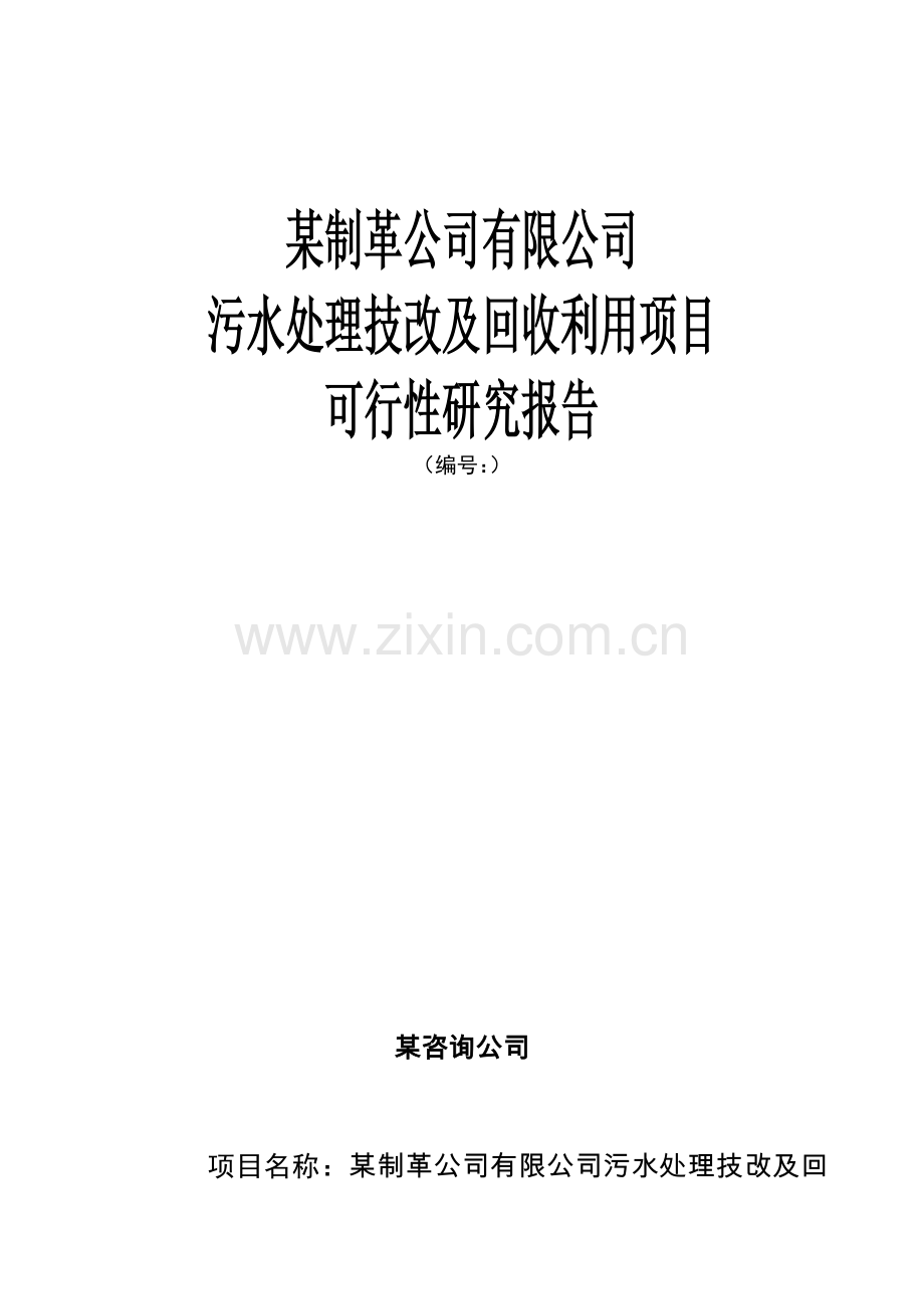 制革公司有限公司污水处理技改及回收利用项目可行性研究报告.doc_第1页