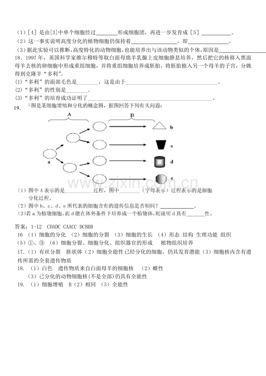 细胞的分化练习题(附答案).doc_第3页