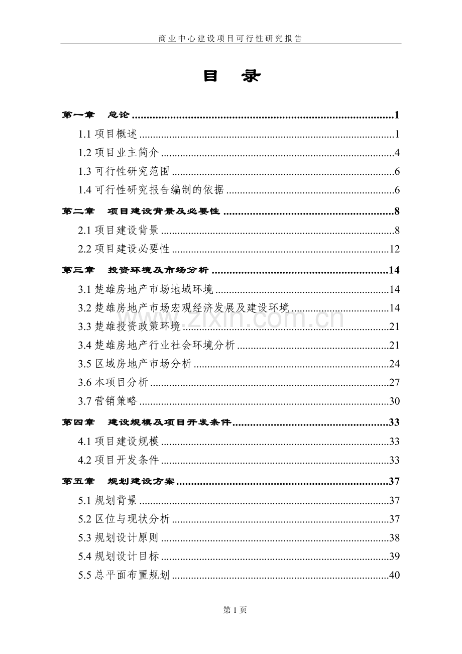 商业中心建设项目可行性研究报告.doc_第1页