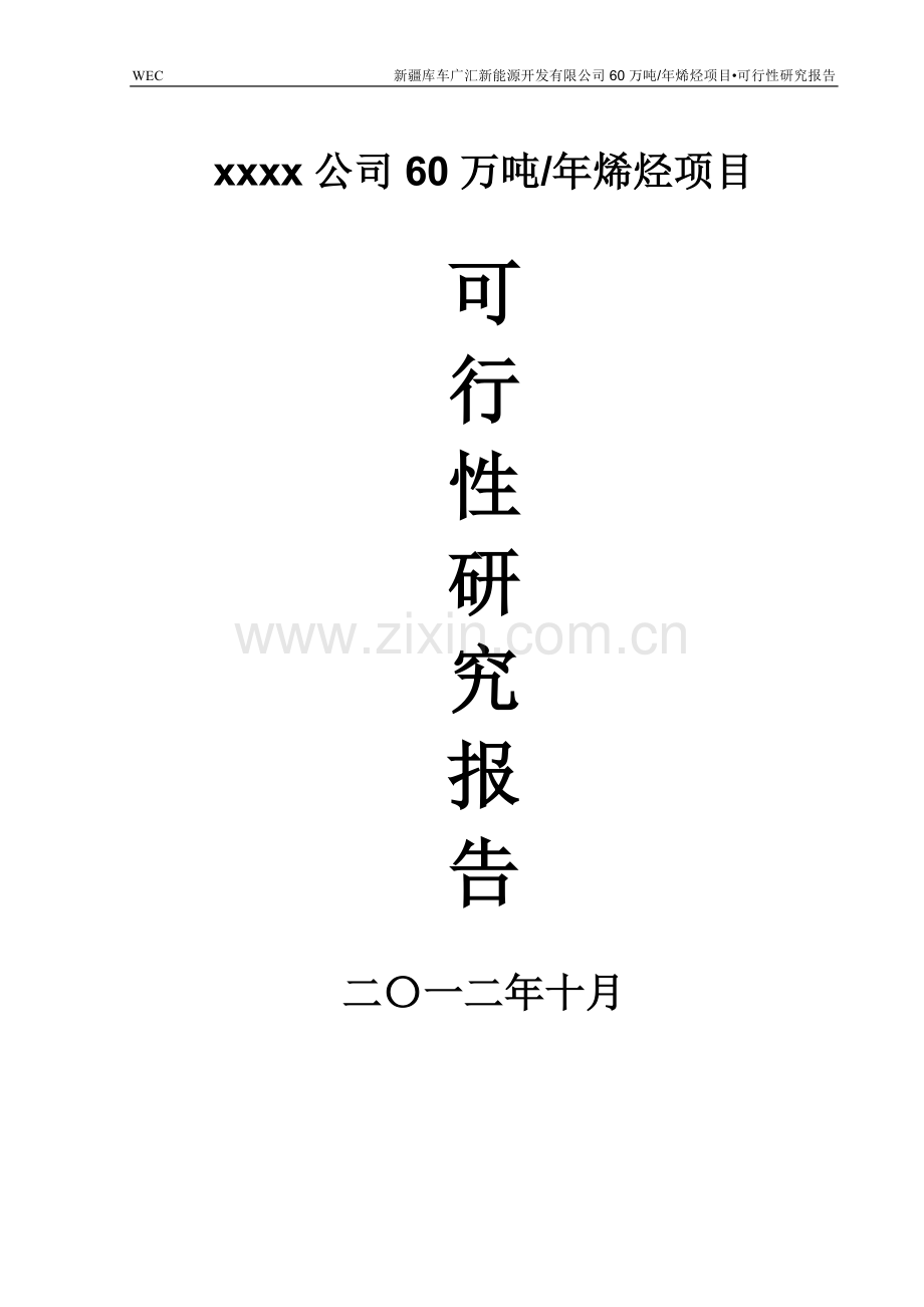 60万吨煤制烯烃项目建设可行性研究报告.doc_第1页