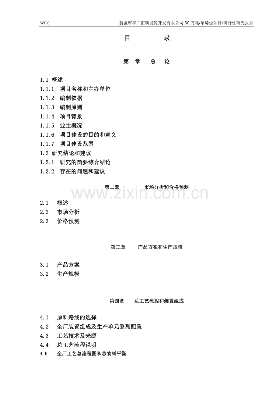 60万吨煤制烯烃项目建设可行性研究报告.doc_第2页