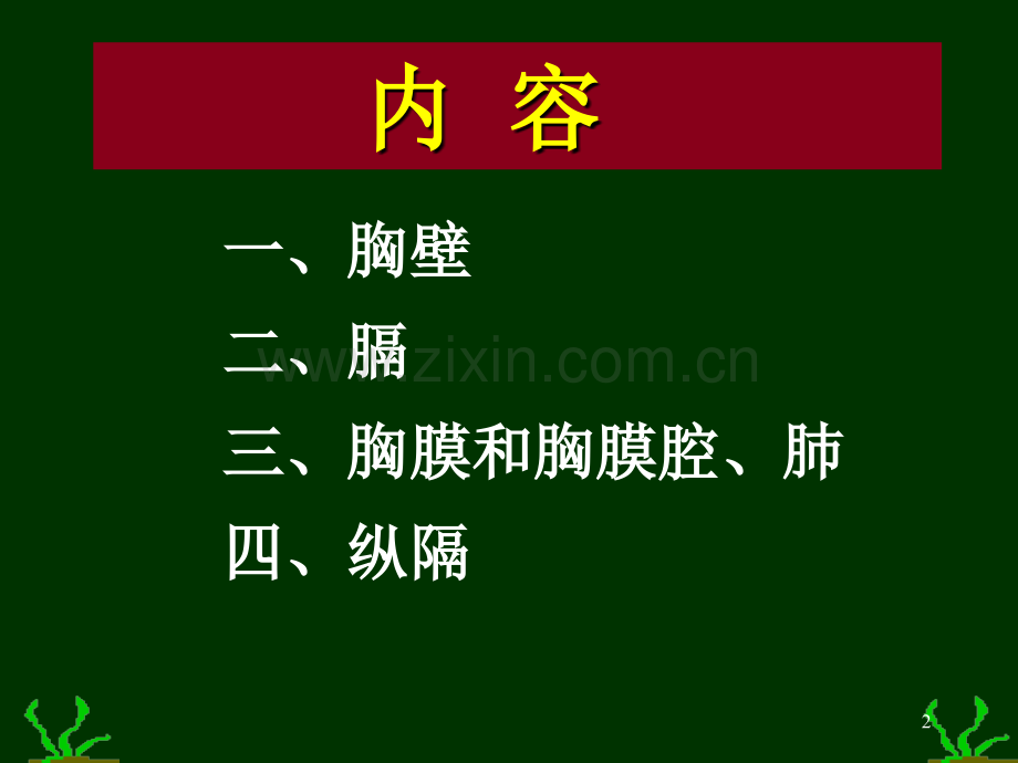 胸部解剖+图谱课件.ppt_第2页