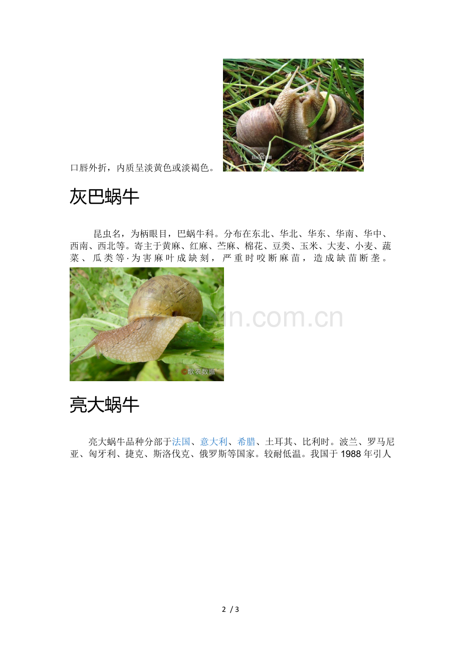 蜗牛分类介绍.doc_第2页