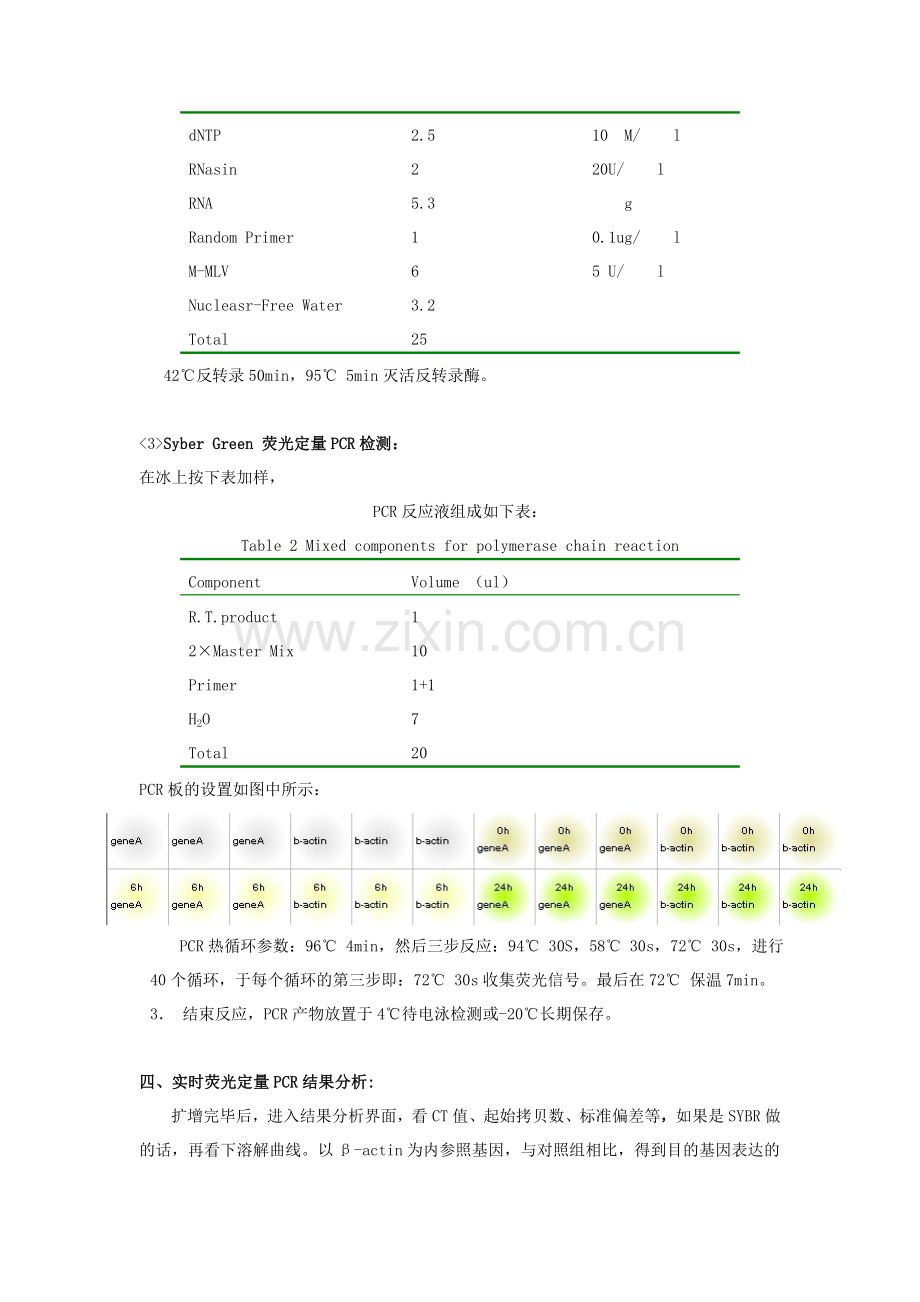 荧光定量PCR实验报告.doc_第2页