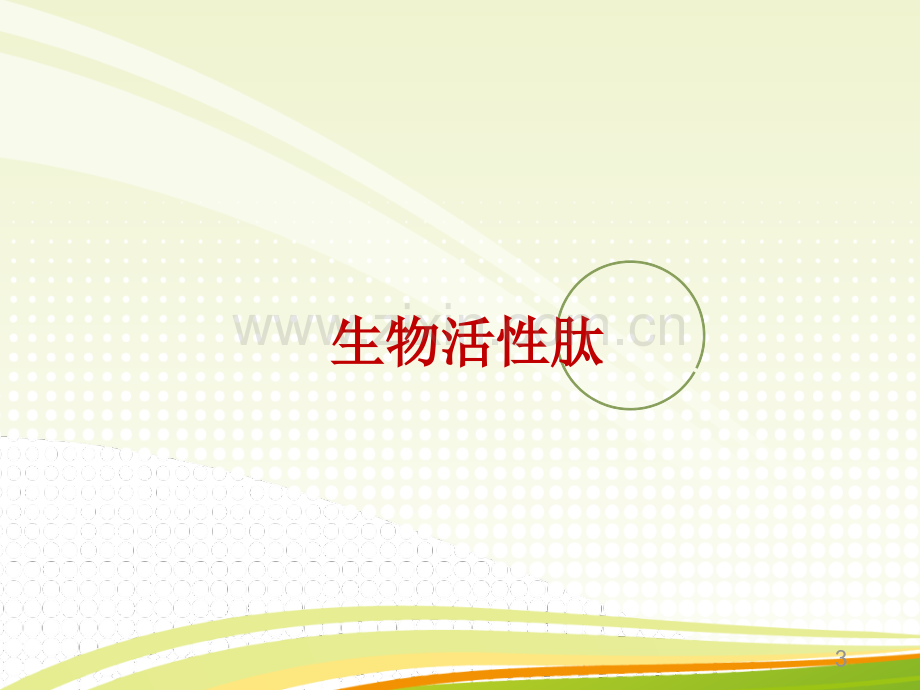 生物活性肽与健康.ppt_第3页