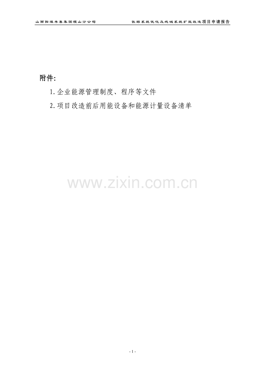 氨醇系统优化及纯碱系统扩能改造节能项目资金可行性研究报告.doc_第3页