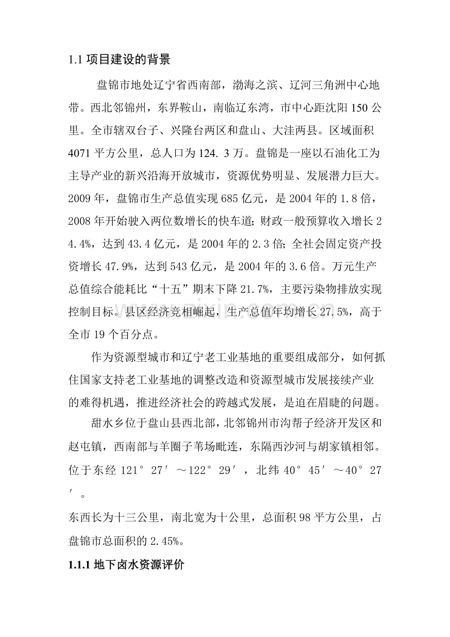 盐化工产业园区可行性研究报告书.doc_第2页