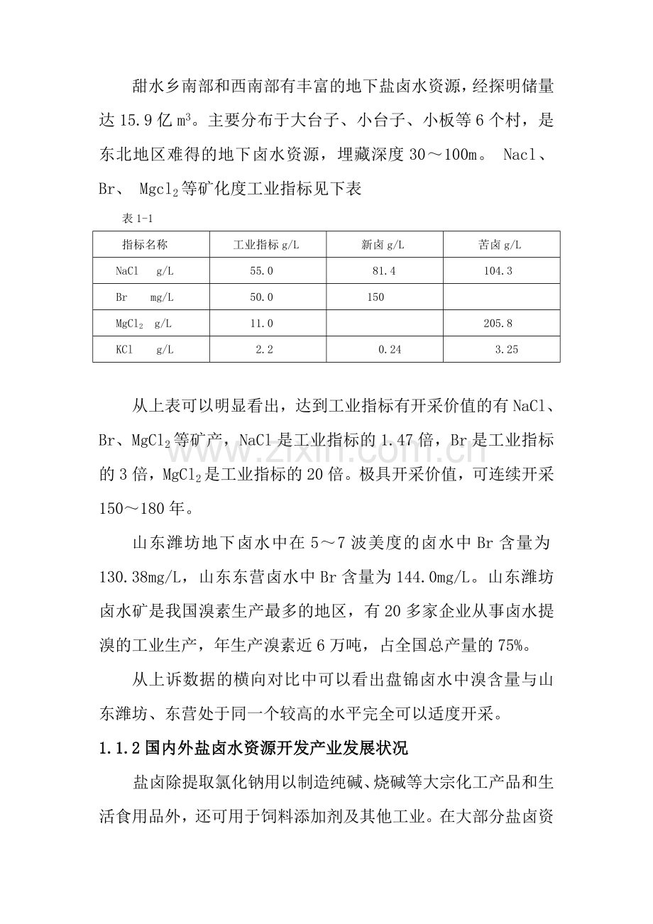 盐化工产业园区可行性研究报告书.doc_第3页