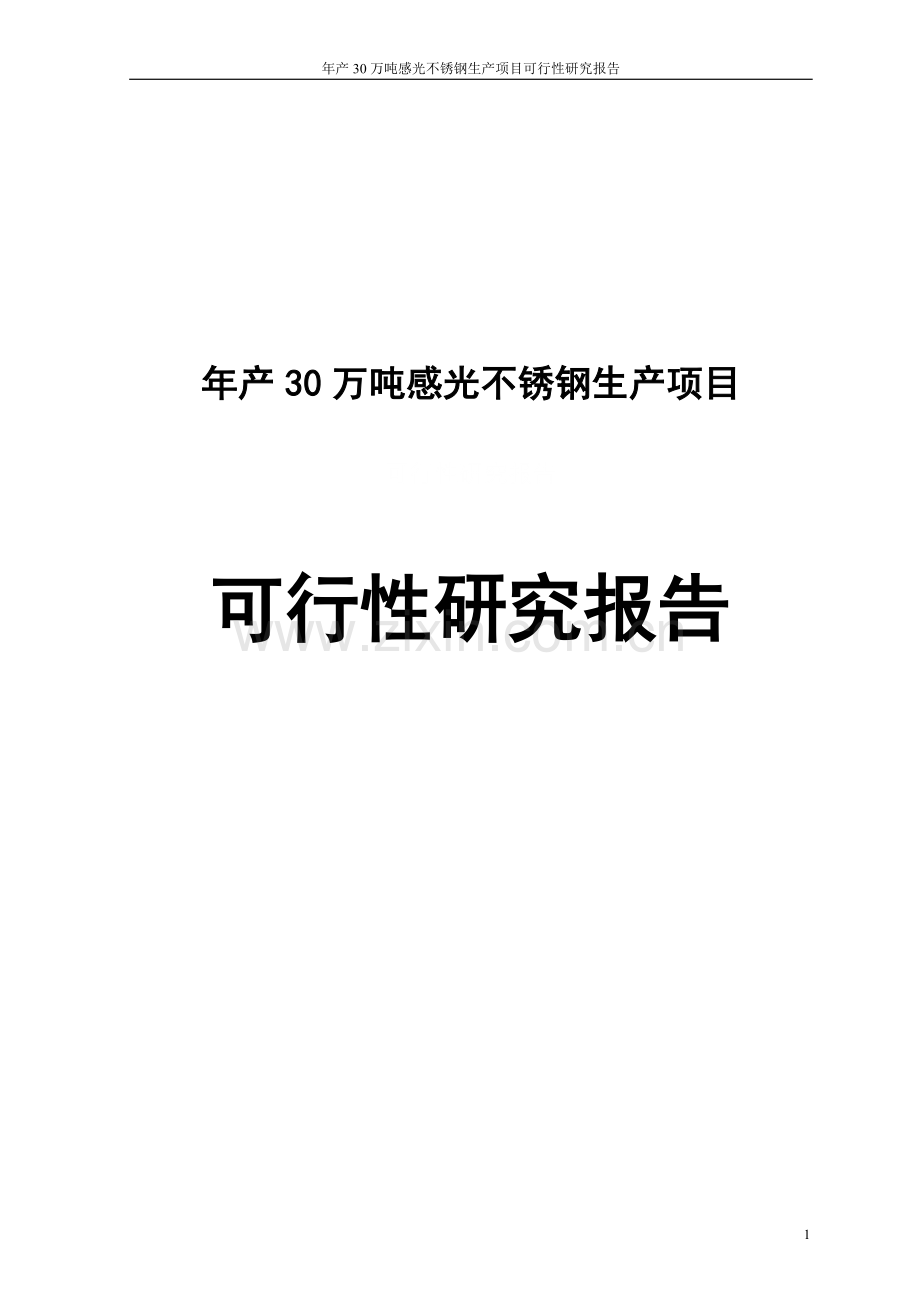 年产30万吨感光不锈钢项目可行性研究报告.doc_第1页