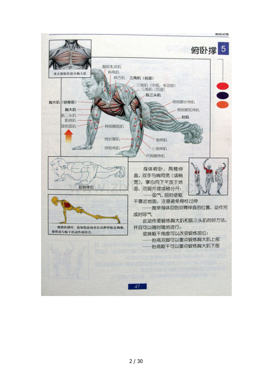 男士必须收藏：男士健身方案.doc_第2页