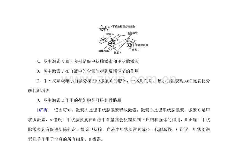 激素的调节及其与神经调节的关系.doc_第3页