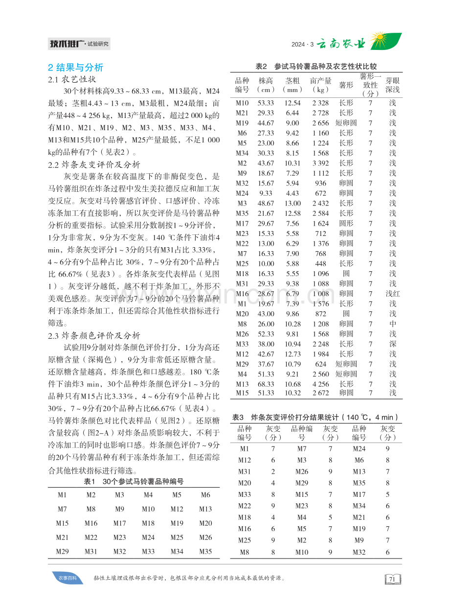 马铃薯新品种资源冻条加工品质分析.pdf_第2页